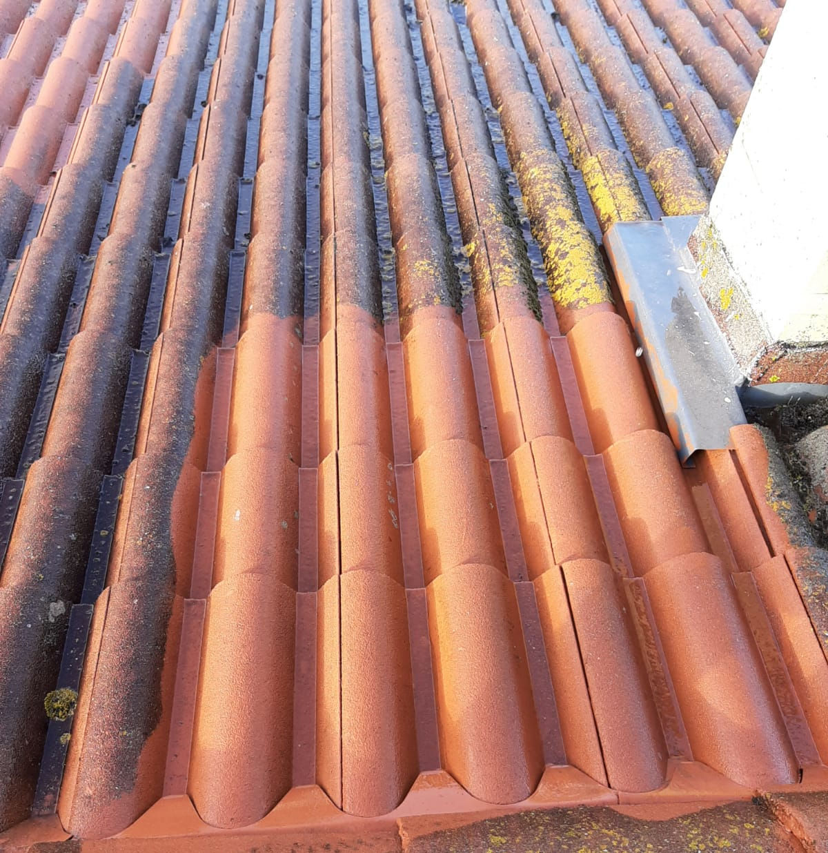 Nettoyage de toiture à Montrabé, visualisation de l'étant avant et après